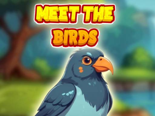 meet-the-birds-1